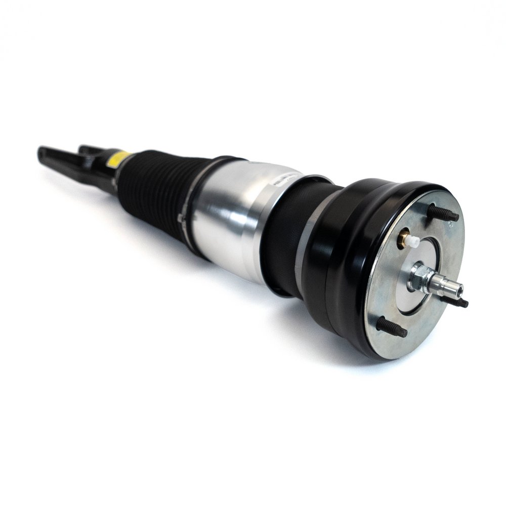 Air Suspension Strut (ASE-4027)