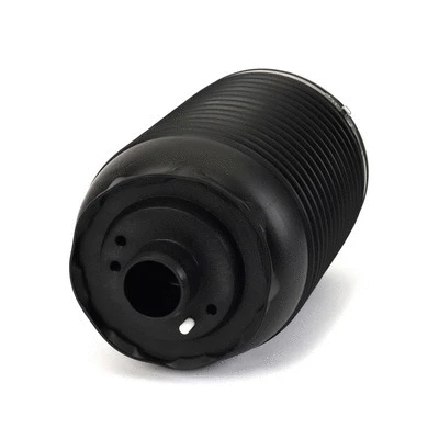Air Spring, suspension