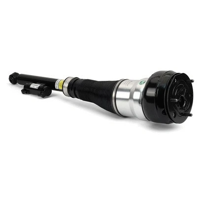 Air Suspension Strut (AS-3361)