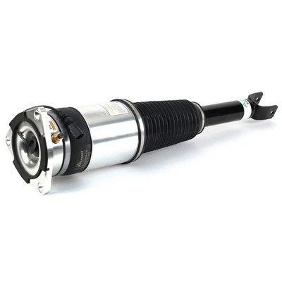 Air Suspension Strut (AS-3031)