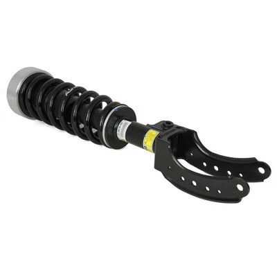 Suspension Kit, springs/shock absorbers