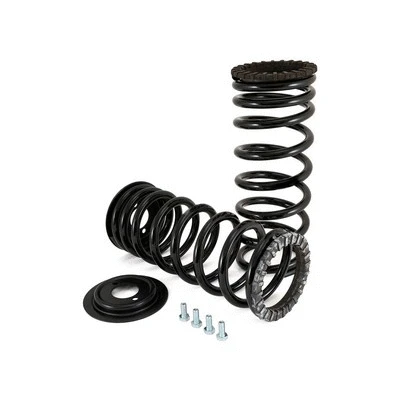 Suspension Set, springs (C-2203)