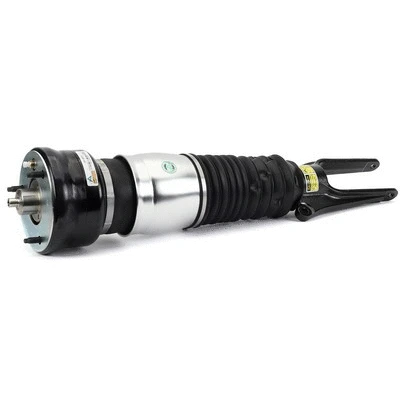 Air Suspension Strut (AS-3376)