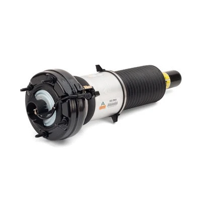 Air Suspension Strut (AS-2864)