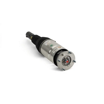 Air Suspension Strut (AS-3070)