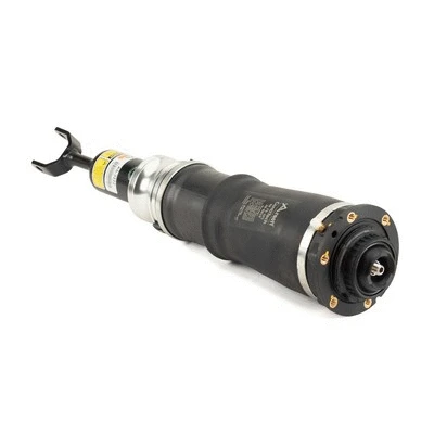 Air Suspension Strut (AS-3222)