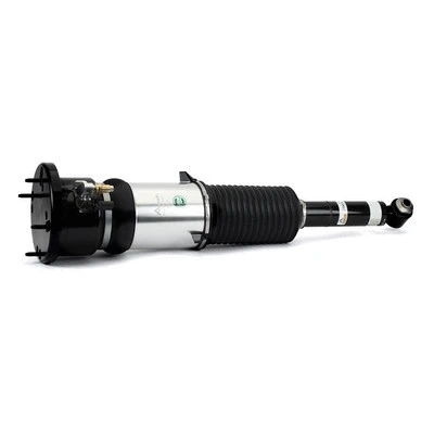 Air Suspension Strut (AS-3121)