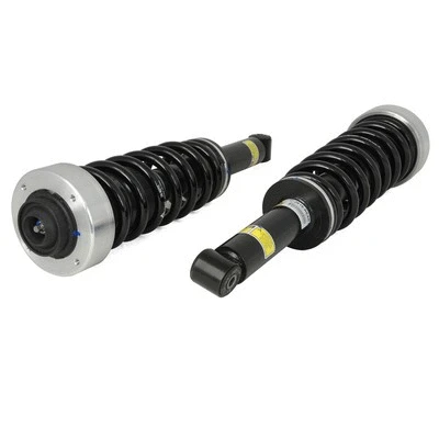 Suspension Kit, springs/shock absorbers