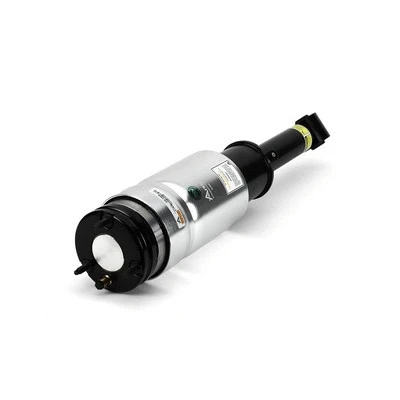 Air Suspension Strut (AS-2809)