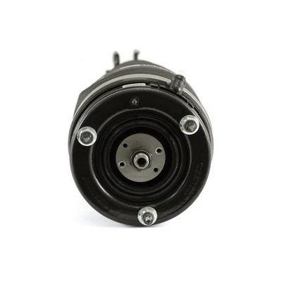 Air Suspension Strut