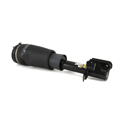 Air Suspension Strut (AS-2516)