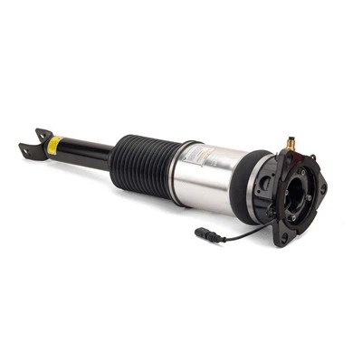 Air Suspension Strut (AS-2959)