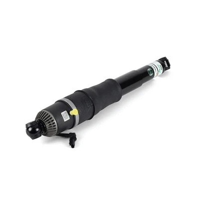 Air Suspension Strut (AS-3066)