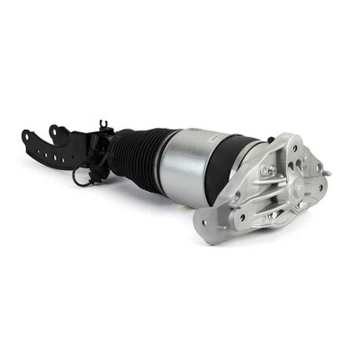 Air Suspension Strut (AS-3165)