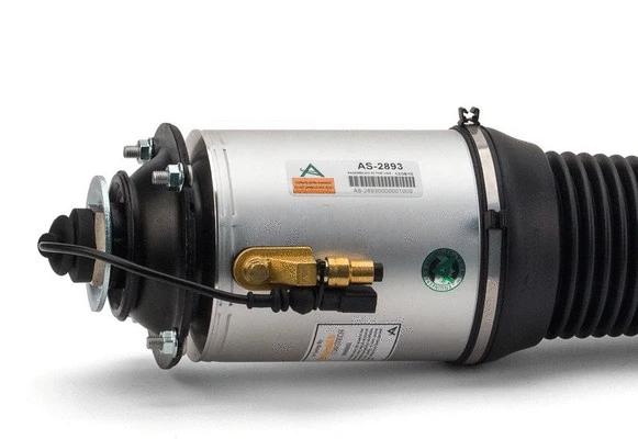 Air Suspension Strut