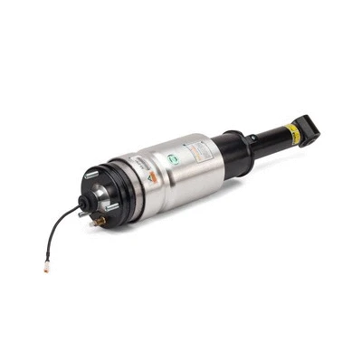 Air Suspension Strut (AS-2761)