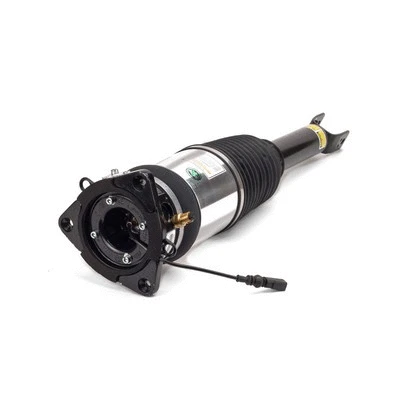 Air Suspension Strut (AS-2968)