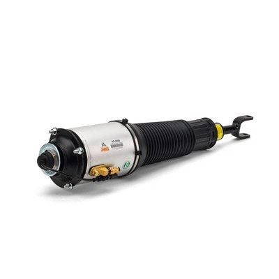 Air Suspension Strut (AS-2893)