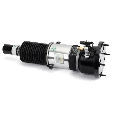 Air Suspension Strut (AS-3123)