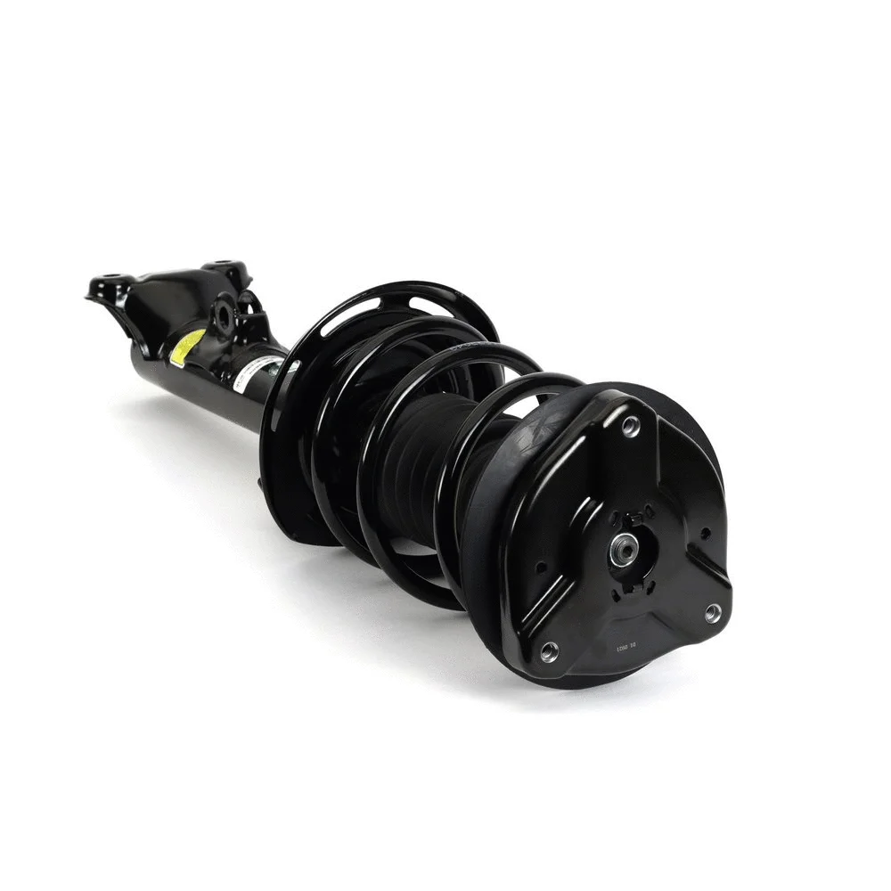 Shock Absorber (SK-3889)