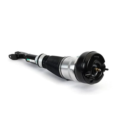 Air Suspension Strut (AS-3160)