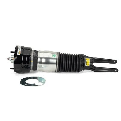 Air Suspension Strut (AS-3038)