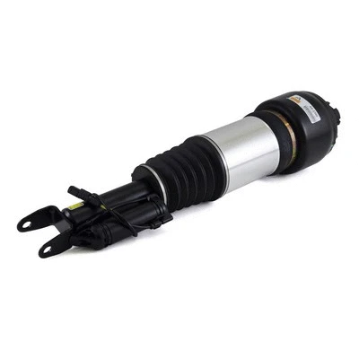 Air Suspension Strut (AS-2300)