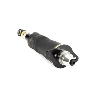 Air Suspension Strut (AS-3223)