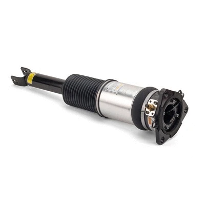 Air Suspension Strut (AS-2958)