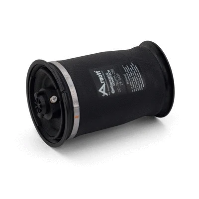 Air Spring, suspension