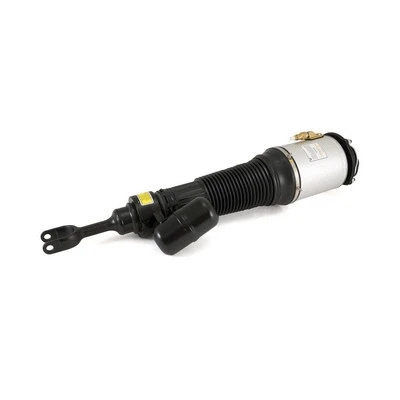 Air Suspension Strut (AS-2581)