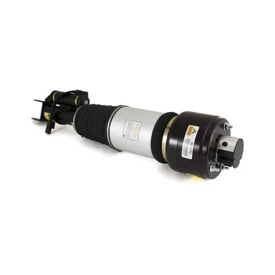 Air Suspension Strut