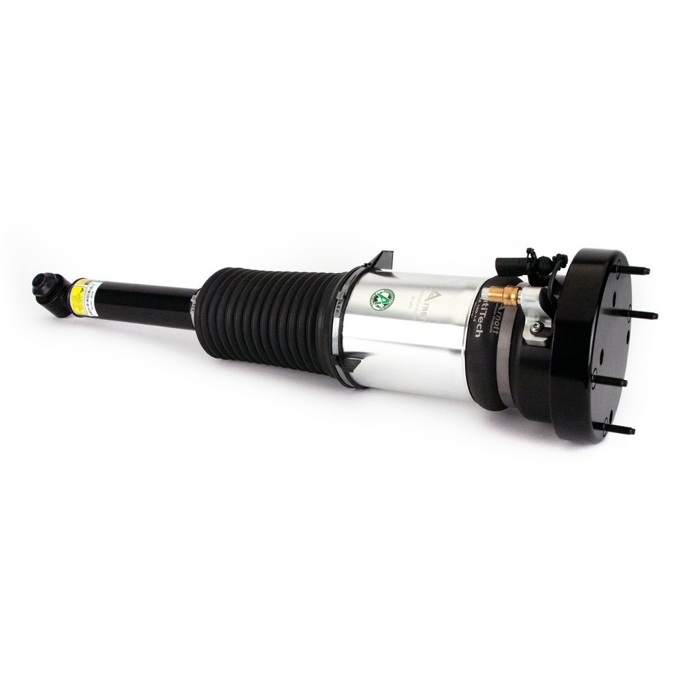 Air Suspension Strut (ASE-3819)