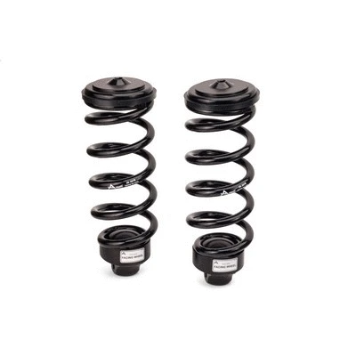 Suspension Kit, springs/shock absorbers