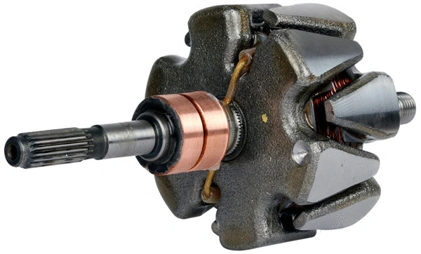Rotor, alternator (1110936)