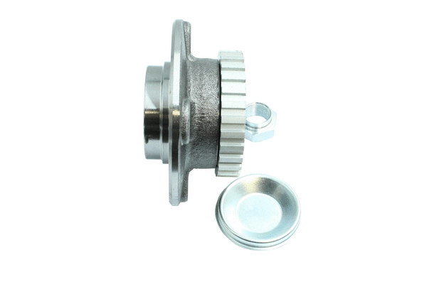 Wheel Bearing Kit (86110350)