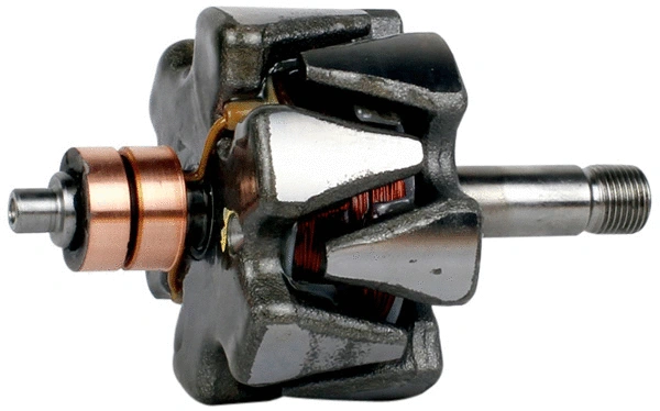 Rotor, alternator (1112721)
