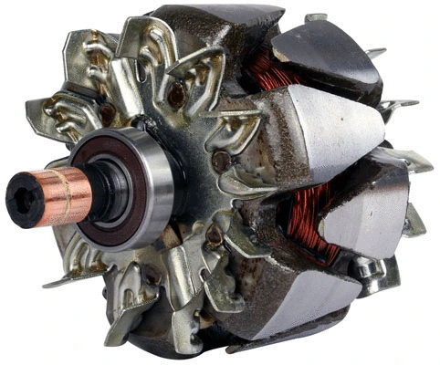 Rotor, alternator (81115793)