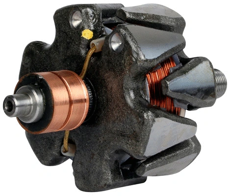 Rotor, alternator (1116716)
