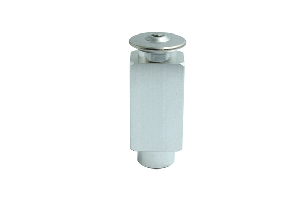 Expansion Valve, air conditioning (7110692)