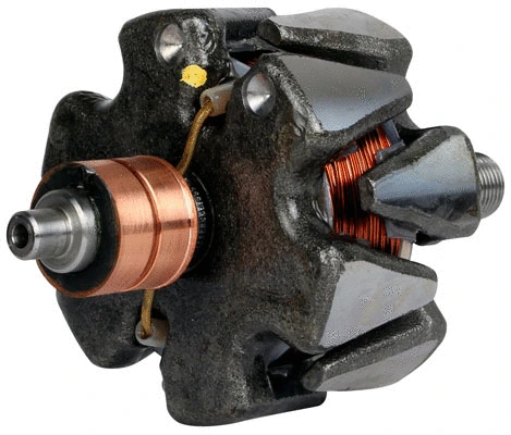 Rotor, alternator (81116716)