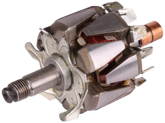 Rotor, alternator (81113466)
