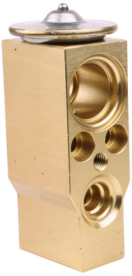 Expansion Valve, air conditioning (7110355)
