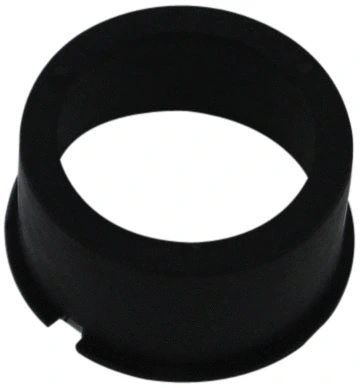 Protective Cap, alternator (81113252)