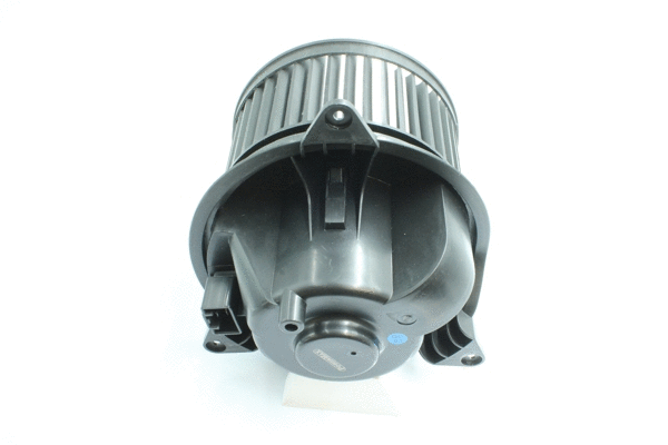 Interior Blower (7200043)