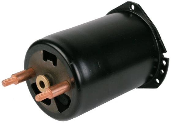 Field Winding, starter (81012611)