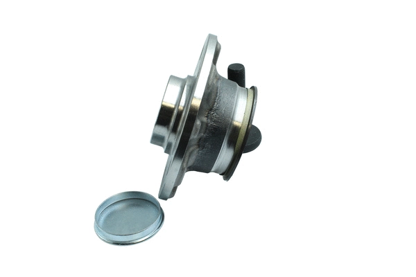 Wheel Bearing Kit (86110005)