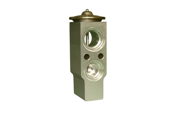 Expansion Valve, air conditioning (7110670)