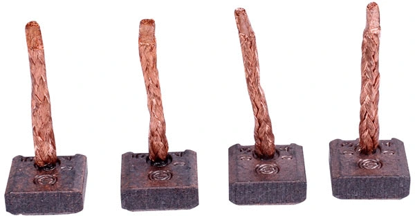 Carbon Brush, starter (81016237)