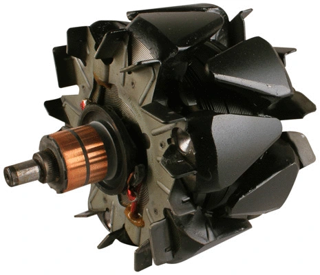 Rotor, alternator (1111098)